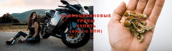 Альфа ПВП Дмитровск