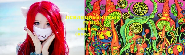 Альфа ПВП Дмитровск