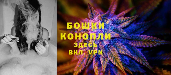 винт Дмитриев