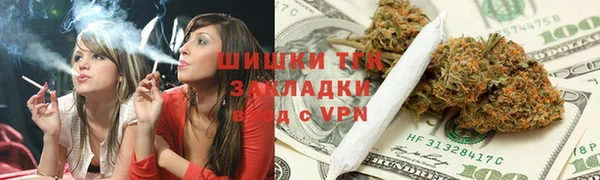 Альфа ПВП Дмитровск