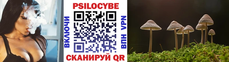 Купить  Усмань  Псилоцибиновые грибы мухоморы 